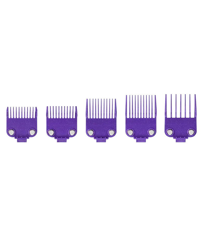 Andis Master Dual Magnet Small 5-Comb Set #560997