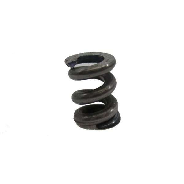 Andis BGR Blade Retainer Spring