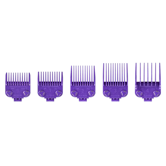 Andis Master Dual Magnet Small 5-Comb Set #560997